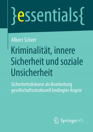 Cover of the book Kriminalität, innere Sicherheit und soziale Unsicherheit by Kay Poggensee
