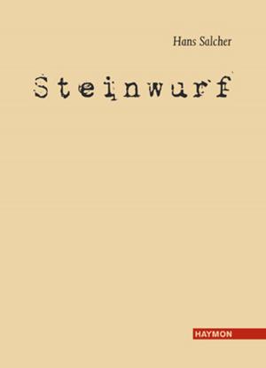 Cover of the book Steinwurf by Klaus Merz