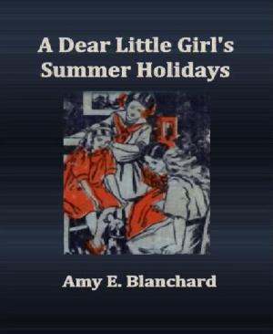 Book cover of A Dear Little Girl's Summer Holidays