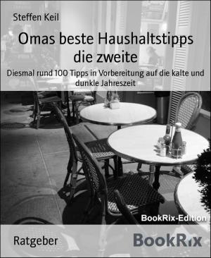 Cover of the book Omas beste Haushaltstipps die zweite by Joseph P Hradisky Jr