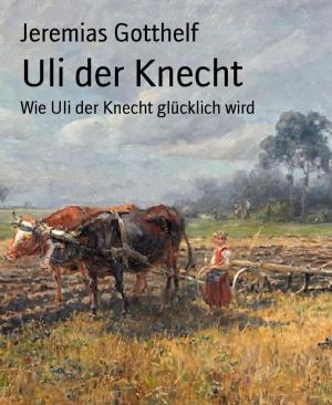 Cover of the book Uli der Knecht by Pete Hackett