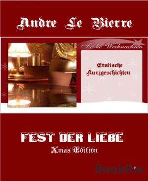 Cover of the book Fest der Liebe by Ellen Morris