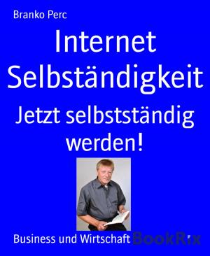 Cover of the book Internet Selbständigkeit by Glenda Victor