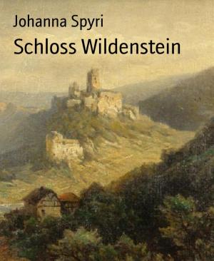 Cover of the book Schloss Wildenstein by Ronald M. Hahn, Hans Joachim Alpers
