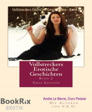 Book cover of Vollstreckers Erotische Geschichten - Band 2