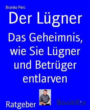 Cover of the book Der Lügner by Karthik Poovanam
