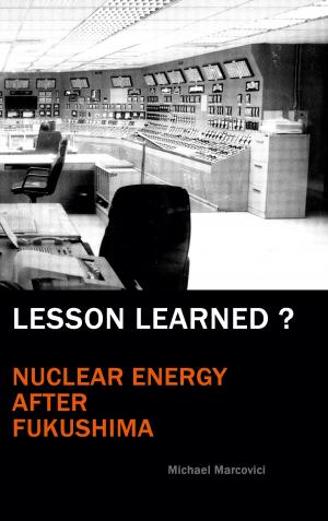 Cover of the book Lesson Learned? by Sonja Duska, Nicole Kudelka, Stefan Lammers, Susanne Reimering, Lena Weiler, Cel Silen