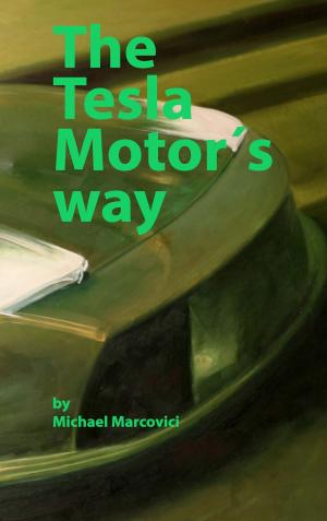 Cover of the book The Tesla Motor´s way by Andreas Albrecht