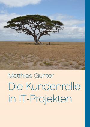 Cover of the book Die Kundenrolle in IT-Projekten by Angela Liesendahl-Schikorra