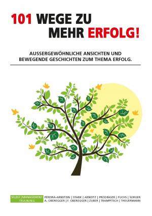 Book cover of 101 Wege zu mehr Erfolg!