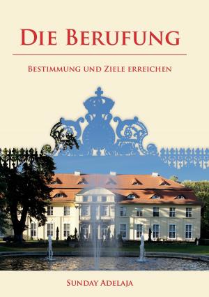 Cover of the book Die Berufung by Daniel Pfeiffer