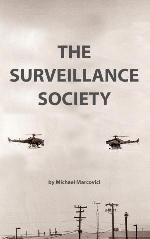 Cover of the book The Surveillance Society by Anja Buchmann