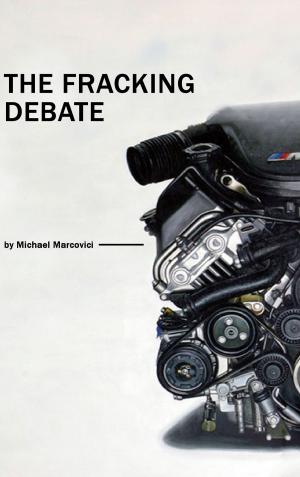 Cover of the book The Fracking Debate by Axel Schwab, Wolfgang Poly