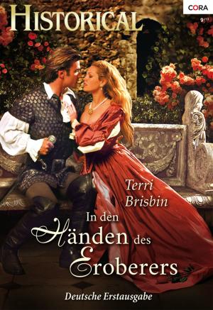 Cover of the book In den Händen des Eroberers by Cheryl Anne Porter