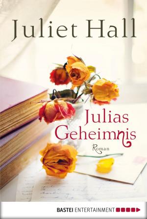 Cover of the book Julias Geheimnis by Peter Mennigen