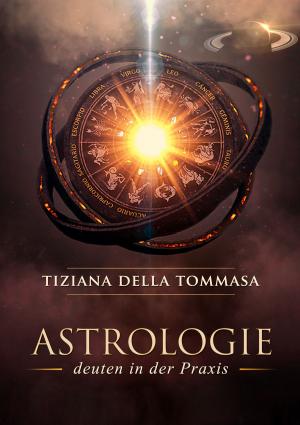 Cover of the book Astrologie II by Stefan Blankertz