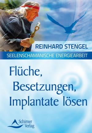 Cover of Flüche, Besetzungen, Implantate lösen