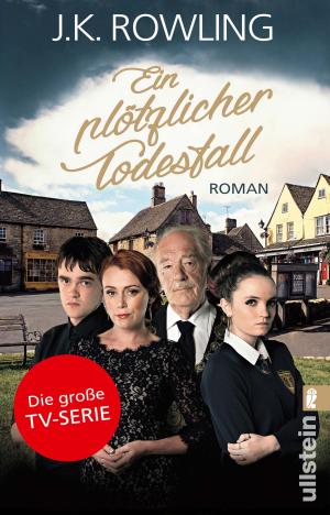Cover of the book Ein plötzlicher Todesfall by Jürgen Roth