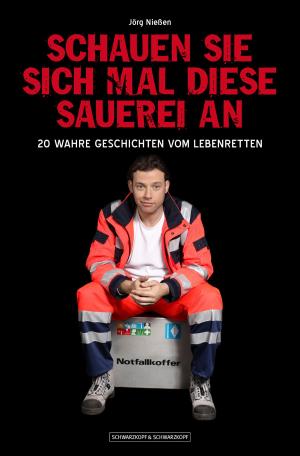 Cover of the book Schauen Sie sich mal diese Sauerei an by Laura Pape