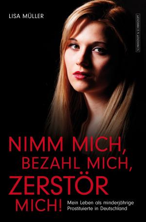 Cover of the book Nimm mich, bezahl mich, zerstör mich! by Viviane Cismak