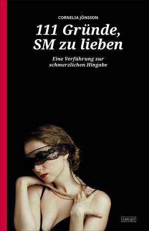 Cover of the book 111 Gründe, SM zu lieben - Eine Verführung zur schmerzlichen Hingabe by Helen Donlon