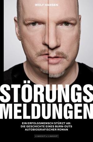 Cover of the book Störungsmeldungen by Nina Ponath