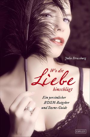 Cover of the book Wo die Liebe hinschlägt ... by Julia Strassburg
