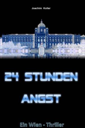 Cover of the book 24 Stunden Angst by Ole R. Börgdahl