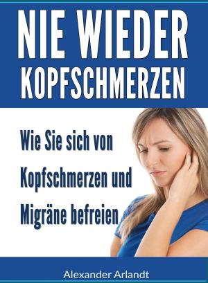 Book cover of Nie wieder Kopfschmerzen