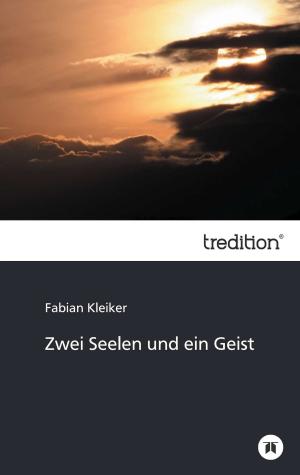 Cover of the book Zwei Seelen und ein Geist by Alla Schatz