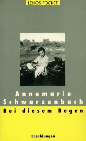 Cover of the book Bei diesem Regen by Nicolas Bouvier