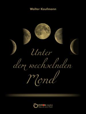 Book cover of Unter dem wechselnden Mond