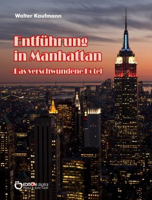 Book cover of Entführung in Manhattan - Das verschwundene Hotel