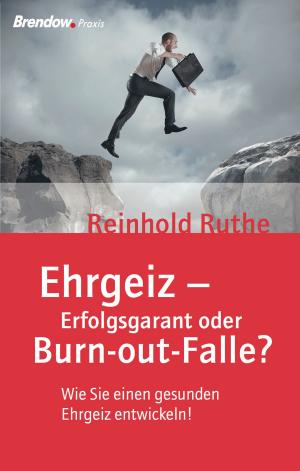 Cover of the book Ehrgeiz - Erfolgsgarant oder Burnout-Falle? by Sebastian Moll