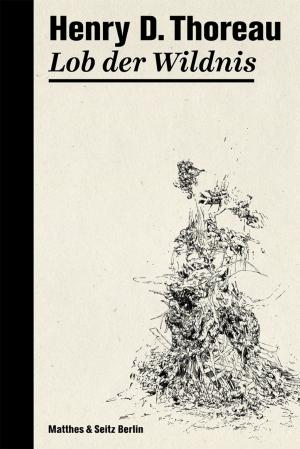Cover of the book Lob der Wildnis by Eduardo Viveiros de Castro, Deborah Danowski