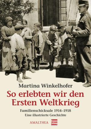 Cover of the book So erlebten wir den Ersten Weltkrieg by Hugo Wiener