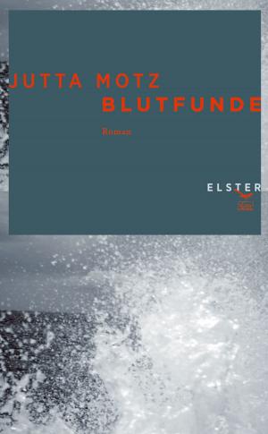 Cover of the book Blutfunde by Brian Hibberd