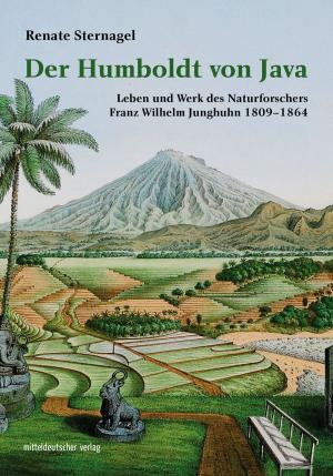 Cover of the book Der Humboldt von Java by Detlef Färber