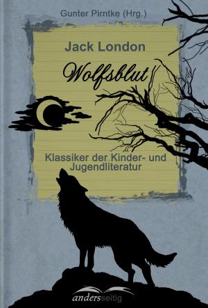 Cover of the book Wolfsblut by Friedrich Hölderlin