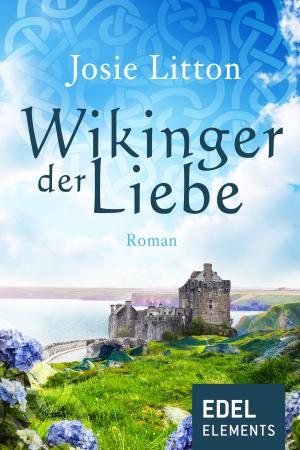 Book cover of Wikinger der Liebe