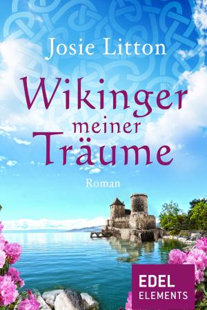 Cover of the book Wikinger meiner Träume by Inge Helm