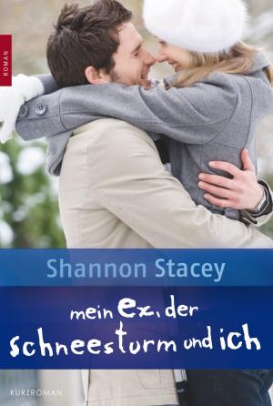 Cover of the book Mein Ex, der Schneesturm und ich by Kay Keppler