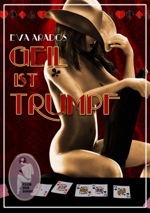 Cover of the book Geil ist Trumpf by Anne Nimm