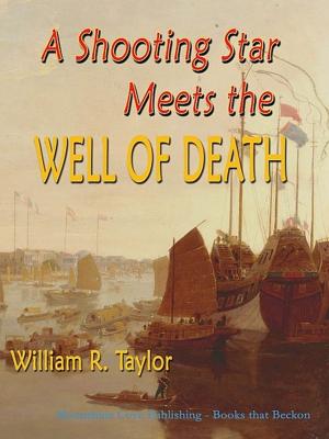 bigCover of the book A Shooting Star Meets the Well of Death by 