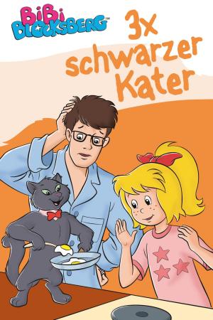 Cover of the book Bibi Blocksberg - 3x schwarzer Kater by Markus Dittrich, Vincent Andreas, Christian Puille, musterfrauen