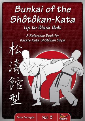 Cover of Bunkai of the Shôtôkan-Kata up to Black Belt - Vol. 3