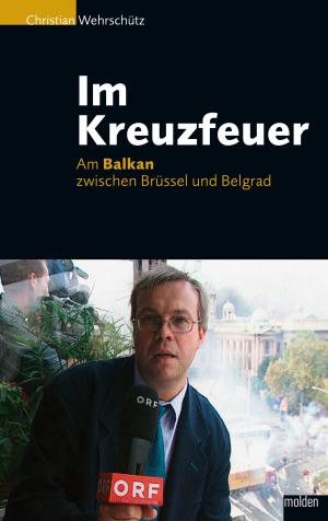Cover of the book Im Kreuzfeuer by Manfred Schauer