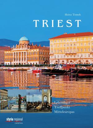 Cover of the book Triest by Matthias Beck