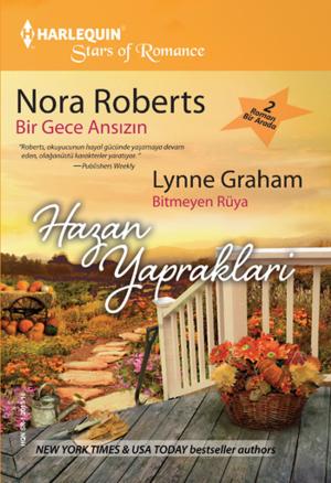 Cover of the book Bir Gece Ansızın / Bitmeyen Rüya by Carol Ericson, Julie Miller