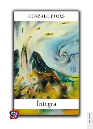 Book cover of Íntegra